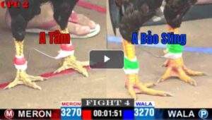 Trận 4 CPC2 18/04/2025