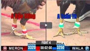 Trận 4 CPC3 22/04/2025