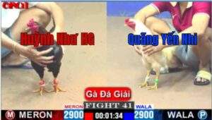 Trận 41 CPC1 10/04/2025 - Quãng Yến Nhi May Mắn Chấm Dứt Hy Võng Vô Địch Của Huỳnh Như Hậu Giang