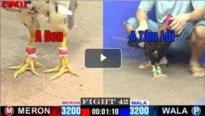 Trận 42 CPC1 24/04/2025