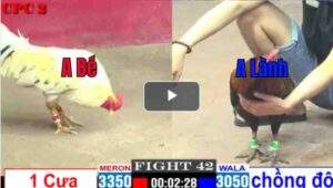 Trận 42 CPC2 06/04/2025 - Kèo Dị Hấp Dẫn Hôm Nay Tại CPC2 Hôm Nay