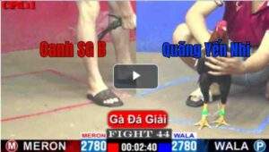 Trận 44 CPC1 10/04/2025 - Quãng Yến Nhi Hạ Đối Thủ Trong Trận Đấu Cuối Cùng Qúa Căng Thẳng