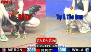 Trận 48 CPC1 10/04/2025 - Bà Tư Đông Pha Chấm Dứt Chuỗi Bất Bại Của Vợ A Tèo Đen Lê