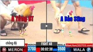 Trận 48 CPC3 01/04/2025 - Hạ Khét Hiệu Duyên Ti Bảo Sting Bao Bồ