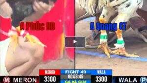 Trận 49 CPC3 22/04/2025