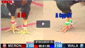 Trận 5 CPC1 19/04/2025