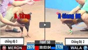 Trận 50 CPC3 08/04/2025 - Điều Chồng Độ 3 Ra Chân Hạ Khét Thuyết Phục