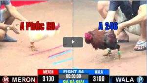 Trận 54 CPC3 22/04/2025