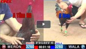 Trận 6 CPC1 17/04/2025