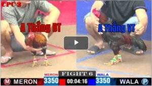 Trận 6 CPC2 13/04/2025 - Thắng Bến Tre Ra Quân Đúng Thắng Vũng Tàu