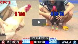 Trận 6 CPC2 23/04/2025