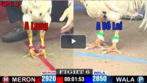 Trận 6 CPC2 25/04/2025