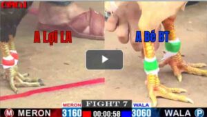 Trận 7 CPC1 24/04/2025