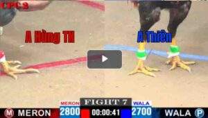 Trận 7 CPC2 27/04/2025