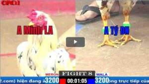 Trận 8 CPC1 05/04/2025 - Đụng Bướm Hiệu Má Minh Và Cái Kết Của Anh Tý ĐN