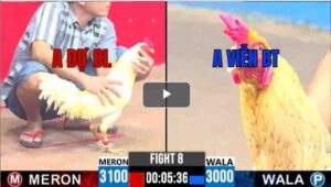 Trận 8 CPC3 29/04/2025