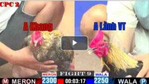 Trận 9 CPC2 23/04/2025