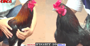 Trận Đầu Tiên Của Ông Thầy Long An - Trận 10 CPC1 17/5/2025