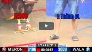 Trận 1 CPC1 01/05/2025