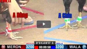 Trận 1 CPC1 03/05/2025