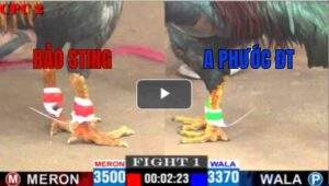 Trận 1 CPC2 04/05/2025