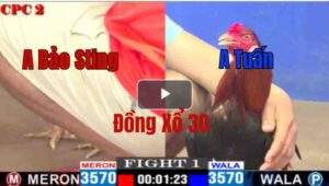 Trận 1 CPC2 09/05/2025