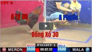 Trận 1 CPC2 11/05/2025