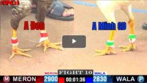 Trận 10 CPC1 01/05/2025