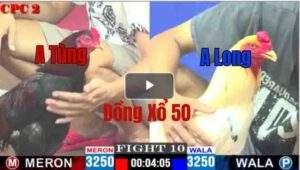 Trận 10 CPC2 11/05/2025