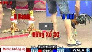 Trận 10 CPC2 28/05/2025