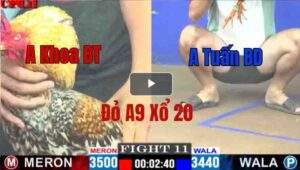 Trận 11 CPC1 10/05/2025