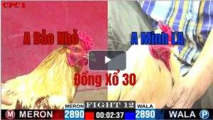 Trận 12 CPC1 23/05/2025