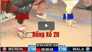 Trận 12 CPC1 27/05/2025