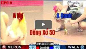 Trận 12 CPC2 21/05/2025