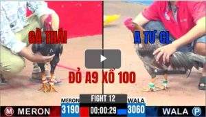 Trận 12 CPC3 25/05/2025