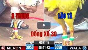 Trận 12 CPC3 30/05/2025