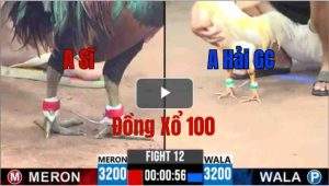 Trận 12 CPC3 31/05/2025