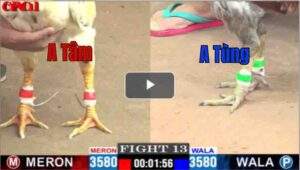 Trận 13 CPC1 03/05/2025