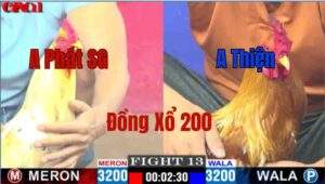 Trận 13 CPC1 10/05/2025