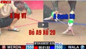 Trận 13 CPC1 12/05/2025