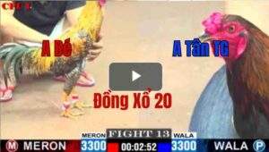 Trận 13 CPC1 20/05/2025