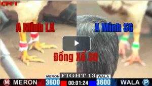 Trận 13 CPC1 29/05/2025