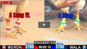 Trận 13 CPC3 02/05/2025