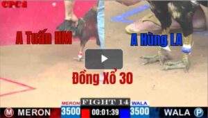 Trận 14 CPC1 13/05/2025