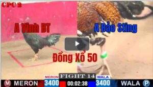 Trận 14 CPC2 09/05/2025