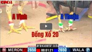 Trận 15 CPC1 08/05/2025