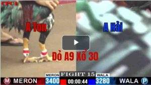 Trận 15 CPC1 29/05/2025