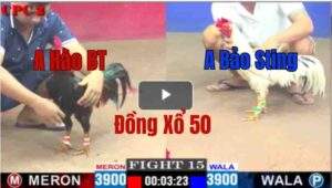 Trận 15 CPC2 09/05/2025