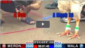 Trận 16 CPC1 01/05/2025