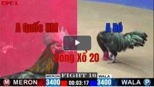 Trận 16 CPC1 27/05/2025